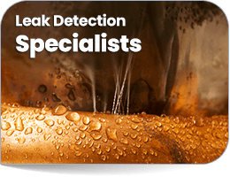 Leak Detection Griffith